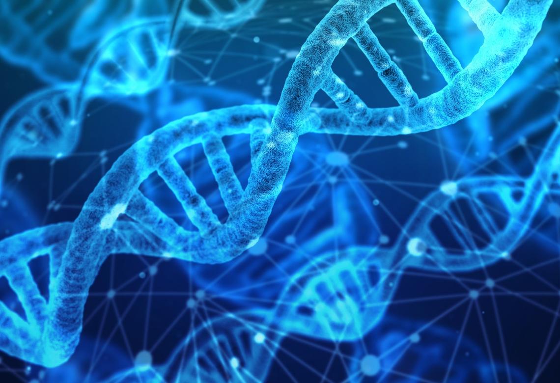 DNA strands